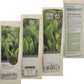 3W Clinic Green Tea Foam Cleansing 100ml
