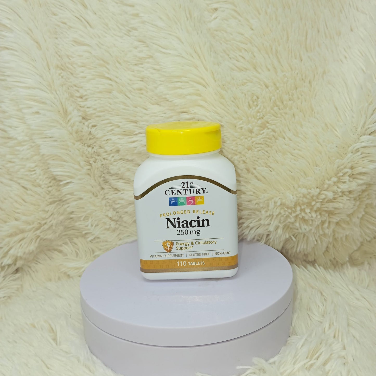 21st Century Niacin 250mg (Prolonged Release) – 110 Tablets