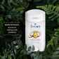 Ivory Aluminum-Free Deodorant – Hint of Coconut 68g