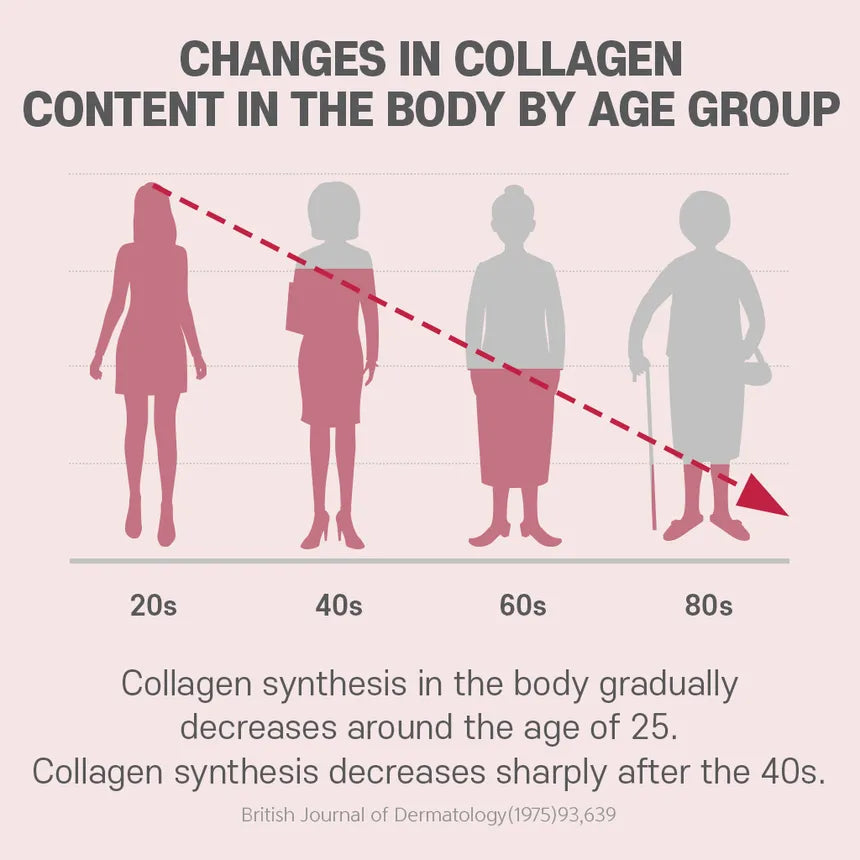 BOTO Small Molecular Collagen C (90 Sticks)