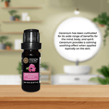 Rose Geranium Essential Oil – 10ml | Pure & Natural