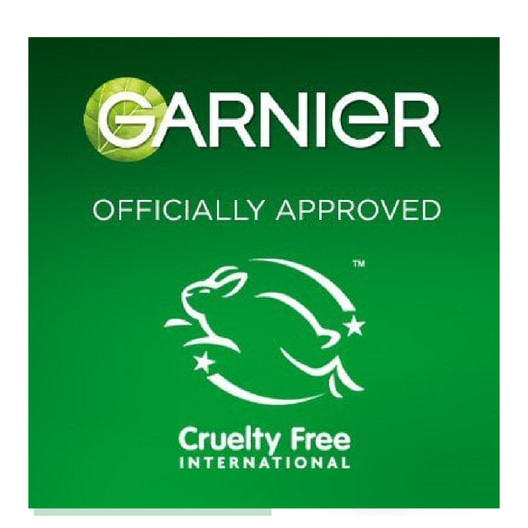 Garnier Moisture Bomb Green Tea Sheet Mask