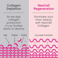 NeoCell Marine Collagen with Hyaluronic Acid – 120 Capsules