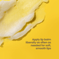 Burt’s Bees Shea & Aloe Lip Balm (2 Tubes)