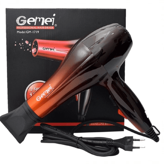 Gemei Professional Hair Dryer gm 1719
