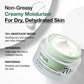 Anua Heartleaf 70+ Intense Calming Cream 50ml