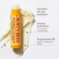 Burt’s Bees Lip Balm Multipack – Beeswax & Vitamin E (2 Tubes)