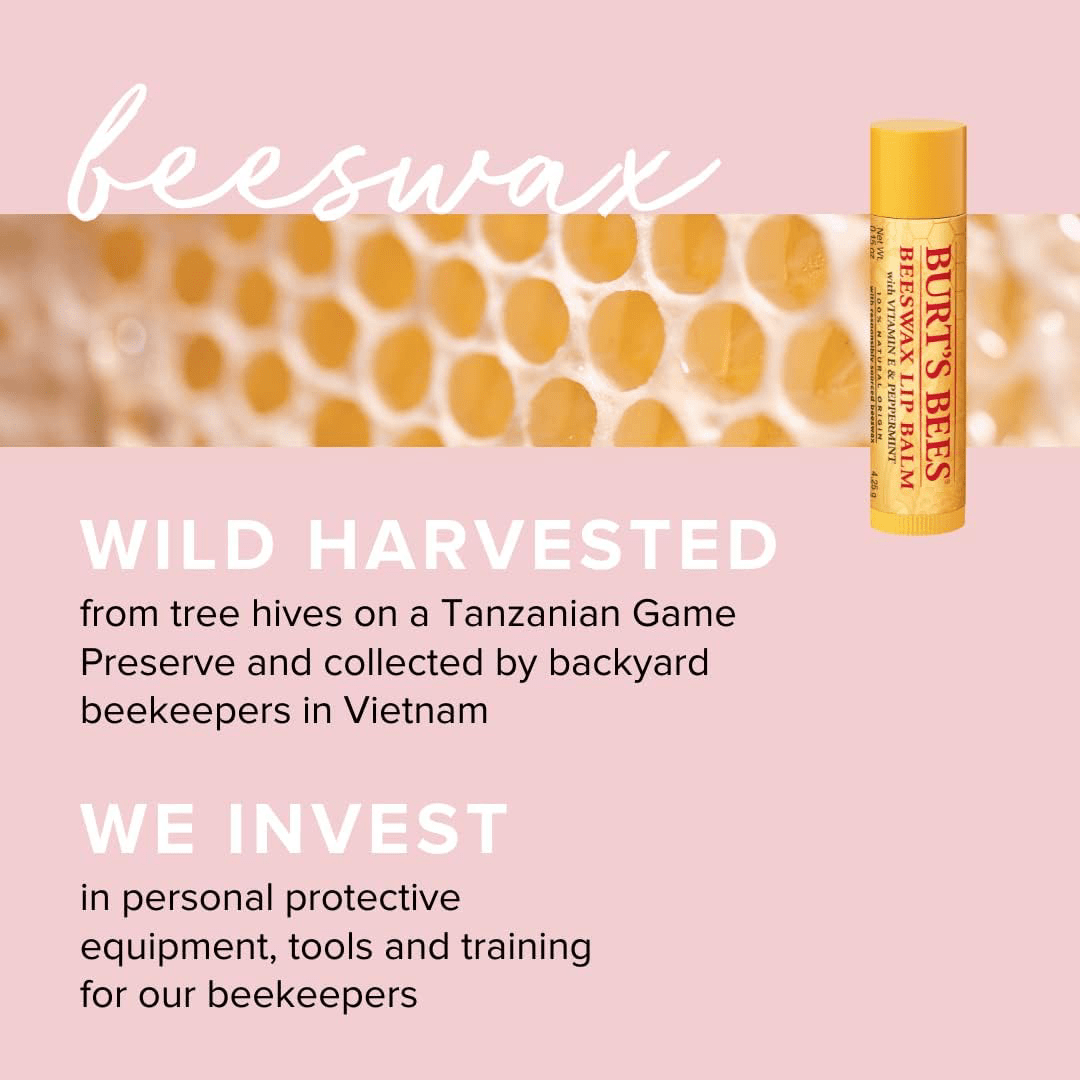 Burt’s Bees Lip Balm Multipack – Beeswax & Vitamin E (2 Tubes)