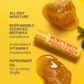 Burt’s Bees® Beeswax &amp; Vanilla Bean Lip Balm Single piece