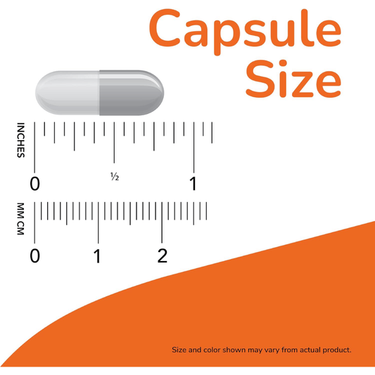 NOW Foods GABA 500mg – 100 Veg Capsules
