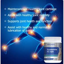 Wagner Glucosamine HCL 1500mg 400 Tablets