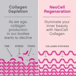 NeoCell, Marine Collagen With Hyaluronic Acid, 120 Capsules USA (Packaging may vary) - Image 7
