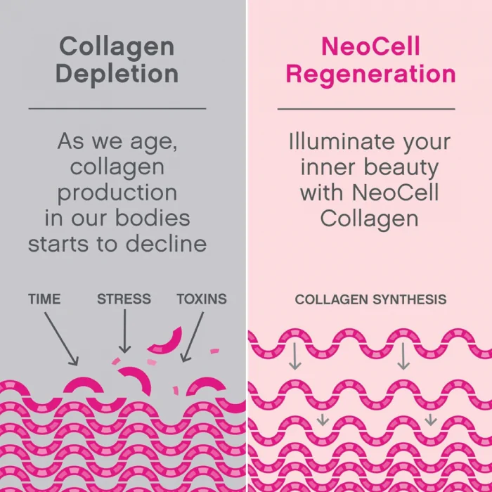 NeoCell, Marine Collagen With Hyaluronic Acid, 120 Capsules USA (Packaging may vary) - Image 7