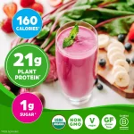 Orgain organic Proteine 160Calories  21Plant Proteine 1g Sugar 1.22Kg - Image 2