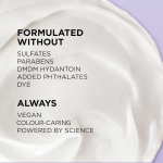L’Oréal Paris Moisture Sulfate Free Conditioner 250ml - Image 3