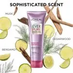 (Discounted Product) L’Oréal Paris EverPure Moisture Sulfate Free Shampoo, Hair Care for Color-Treated Hair with Rosemary Botanicals, 250ml - Image 2