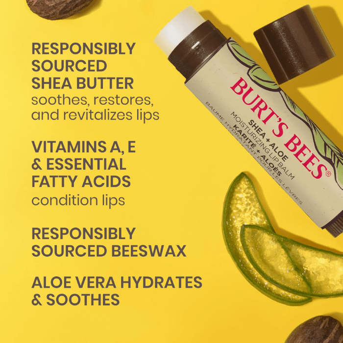Burt's Bees 100% Natural Origin Moisturizing Lip Balm, Shea and Aloe, 2 Tubes