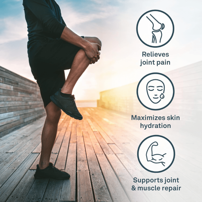 Organika Biocell Collagen- Type 2 Collagen, Hyaluronic Acid, Chondroitin Sulfate, Joint Support- 180caps