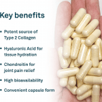 Organika Biocell Collagen- Type 2 Collagen, Hyaluronic Acid, Chondroitin Sulfate, Joint Support- 180caps