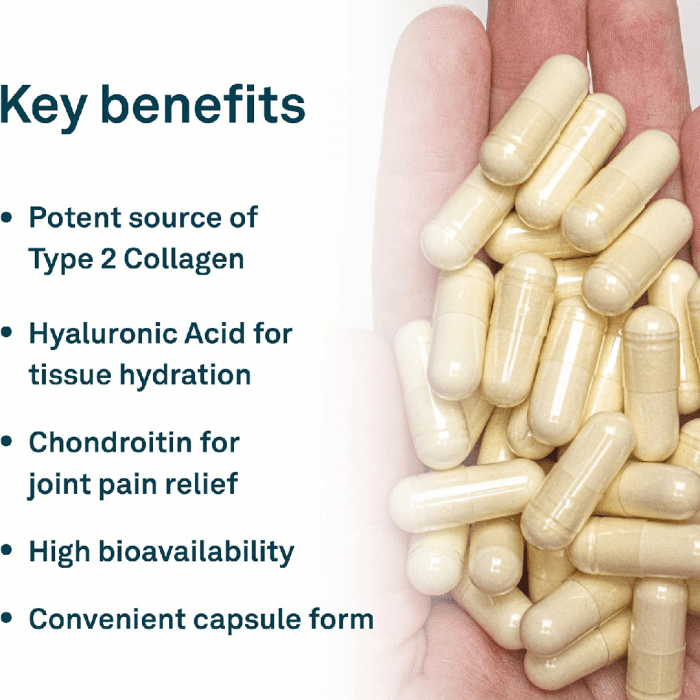 Organika Biocell Collagen- Type 2 Collagen, Hyaluronic Acid, Chondroitin Sulfate, Joint Support- 180caps