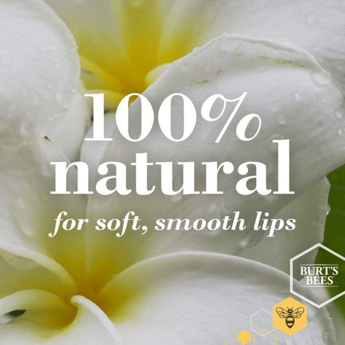 Burt's Bees Moisturizing Lip Balm for Dry Chapped Lips 100% Natural Origin, Assorted Flavours with Fruit Extracts, 3 Tubes, 4.25 g