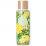 Victoria's Secret Ladies Wild Willow Fragrance Mist 250ml