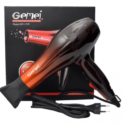 Gemei Professional Hair Dryer gm 1719