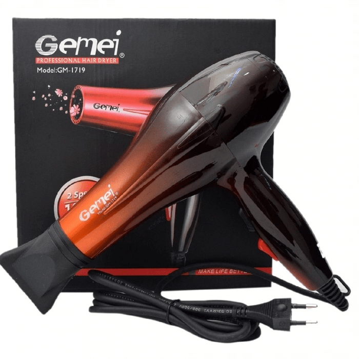 Gemei Professional Hair Dryer gm 1719