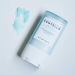 Skin1004 Madagascar Centella Hyalu Cica Silky Fit Sun Stick 20g