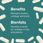 Webber Naturals® Glucosamine Chondroitin Double Strength, 500_400 mg, 180 Capsules