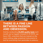 NOW Foods Vitamin C-1000 - 30 Veg Capsules _ Fruitful Yield (1)