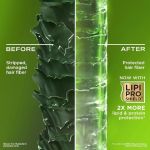 OGX Clarifying Strength and Rosemary Mint Hair Shampoo / Conditioner 385 ml - Image 4