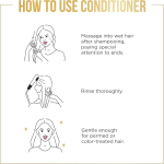 Pantene Sulfate Free Conditioner, Anti Breakage for Medium or Long Hair with Rice Bran Oil, Safe for Color Treated Hair, Nutrient Blends, 237 mL