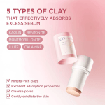 SKIN1004 Madagascar Centella Poremizing Quick Clay Stick Mask